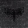 Death's Head