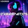 Cybernetics