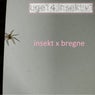 insekt x bregne