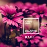 Haunted