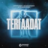 Teri Aadat (Extended Mix)