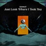 Just Look Where I Took You