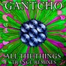 All The Things - Trance Remixes