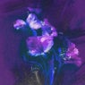 starry eyes (Extended Mix)