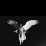Angel DL