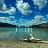 Afloat