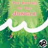The Rhythm Of The Jungle