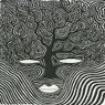 Ditch / Dismal Swamp