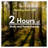 2 Hours of Relaxing Music with Birds and Forest Sounds