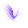 Wings of Sound