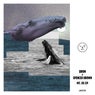 MT. DS EP