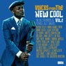 Voices From The New Cool Vol. 2 - Nu Jazz Crooners & Female Jazz Singers