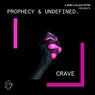 Crave (Extended Mix)