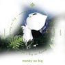 Monëy So Big - Acoustic