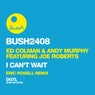 I Can't Wait (feat. Joe Roberts) [Eric Powell Remix]