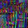 Abnormaltown