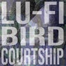 Bird Courtship