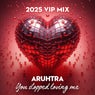 You Stopped Loving Me 2025 VIP Remix