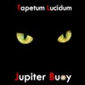 Tapetum Lucidum