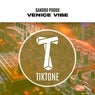 Venice Vibe 
