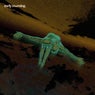 Roots (Cornucopia Remix)
