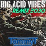 Big Acid Vibes (Remix 2023)