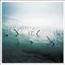 Stranded In Passion EP