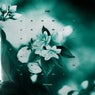 Jasmin