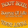Source Of Life - DJ KOCO Re Edit