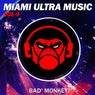 Miami Ultra Music, Vol.9, compiled by Bad Monkey