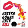 Haters Gonna Hate Andrealistic Remix
