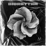 Biorhythm