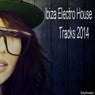Ibiza Electro House Tracks 2014