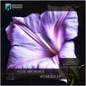 Ipomoea