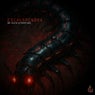 Escolopendra
