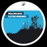 Electric Memories