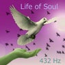 Life of Soul