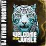 DJ Hybrid Presents: Welcome To The Jungle (Album Sampler)