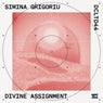 Divine Assignment