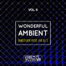 Wonderful Ambient, Vol. 6 (Dancefloor Picks For DJ's)