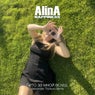 Лето за мной вслед (Alexander Tishkov Remix)