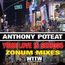 Your Love Is Serious (Zonum Mixes)