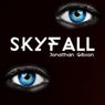 Skyfall - Single