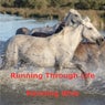 Running Through Life