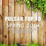 Pulsar Top 10 - Spring 2014