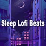 Sleep Lofi Beats (The Finest Anime Lofi, Chill Beats, Calm Beats, Jazzhop, Hiphop, Chillhop and Lofi Beats to Sleep & Chill To)