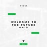 Welcome to the Future (Remixes)