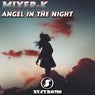 Angel in the Night