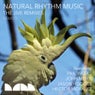 The Jive Remixes