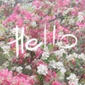 Hello